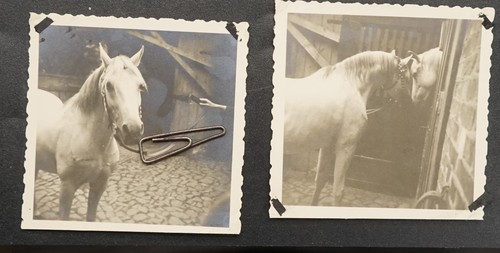 Foto ansicht ddr - ddr, haldensleben