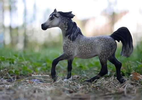Schleich extremcust araber - schleich,