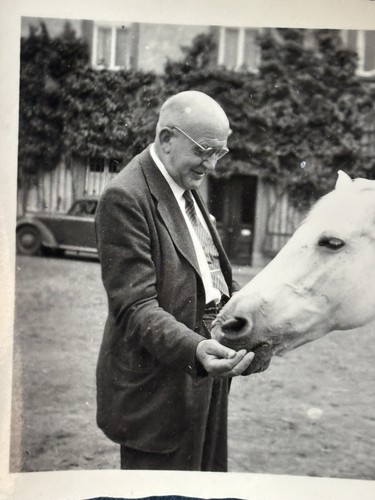 Foto mann füttert - 🐴,