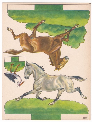 Pferd pferde storch schimmel - pferde,