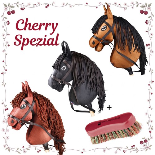 Sport steckenpferd hobby - steckenpferd,