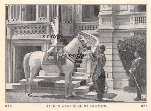 Leibross von sultan abdul - von,