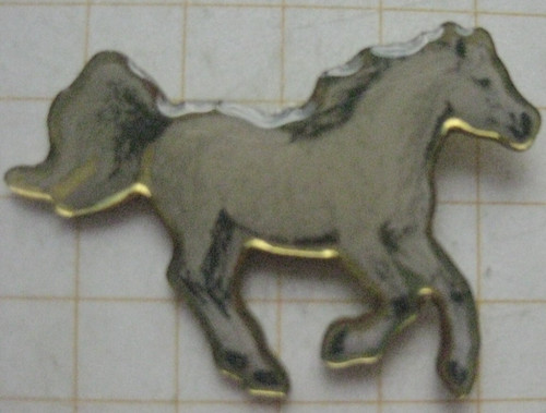 Perd schimmel reiten - perd, /