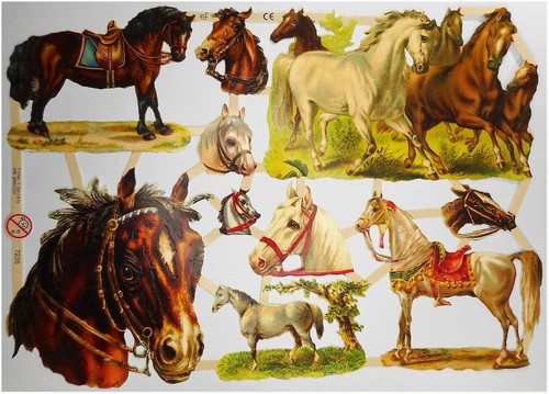 Pferde pferd schimmel hengst - pferde,