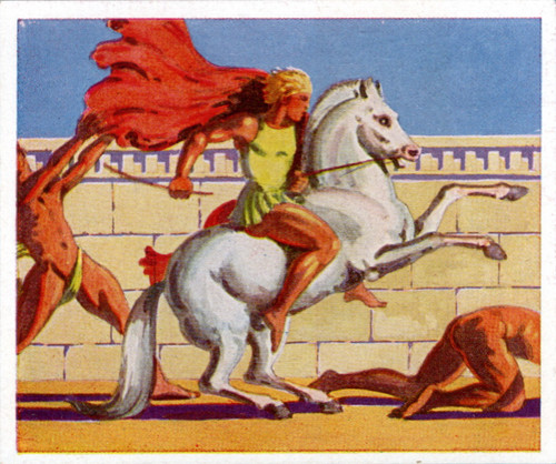 1049 sammelbild alexander - 45/1049,