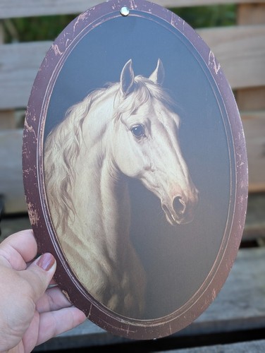 Wandbild pferd schimmel oval - wandbild,
