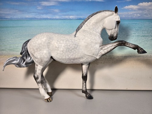 Spartacus lusitano druck - ks,
