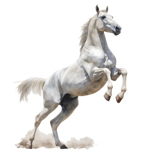 Sticker pferd schimmel - pferd,