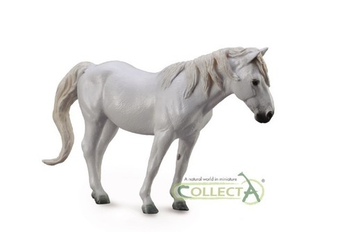 Collecta 88749 camargue - collecta,