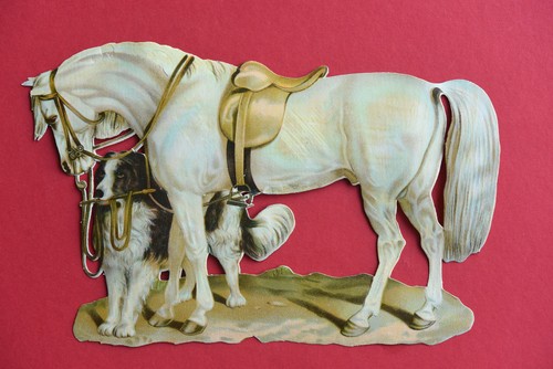 Glanzbild oblate pferd - oblate,