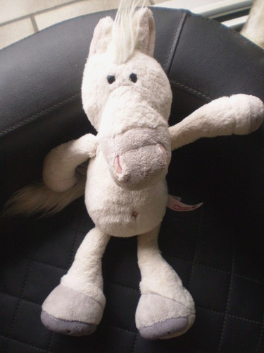 Nici pferd schimmel horse - pferd,